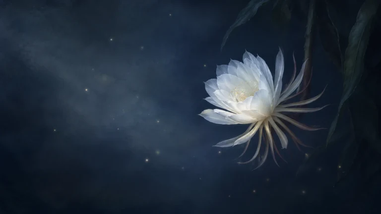 一朵硕大的白色花在深蓝夜色中绽放，周围点缀微光