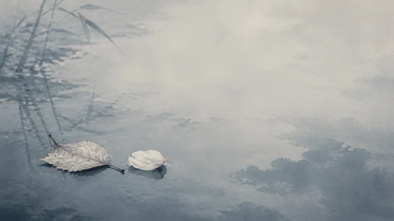 一片枯叶与一枚浅色花瓣并排漂在雾蒙蒙的静水上