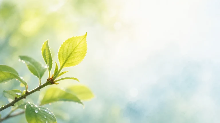 清晨枝头几片嫩绿新叶带着细小露珠