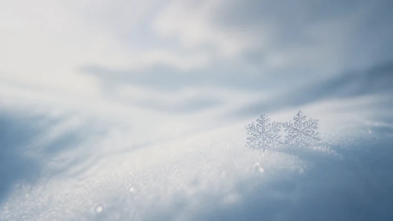 浅蓝雪面上一枚完整雪花结晶清晰可见