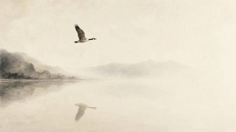 一只雁飞过浅雾湖面，水中映出展开的双翼