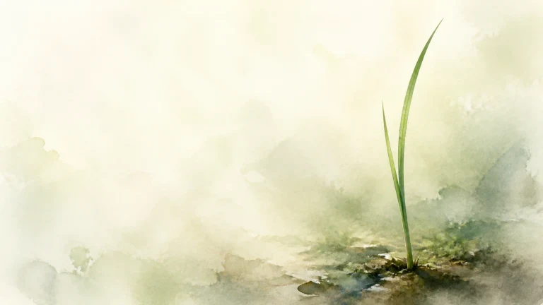 一株细长绿芽独自从水墨湿地中挺立